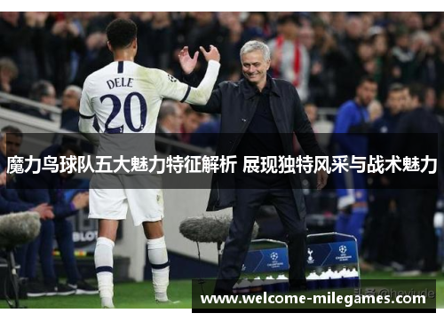 魔力鸟球队五大魅力特征解析 展现独特风采与战术魅力
