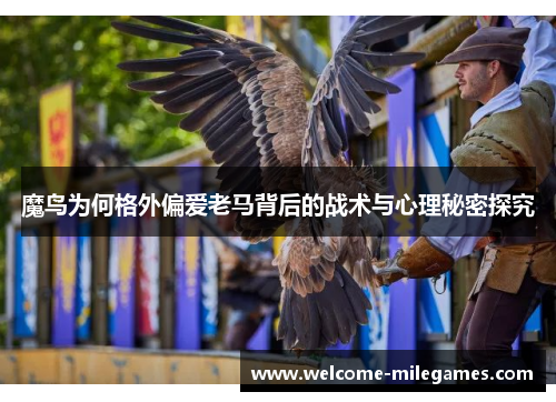 魔鸟为何格外偏爱老马背后的战术与心理秘密探究