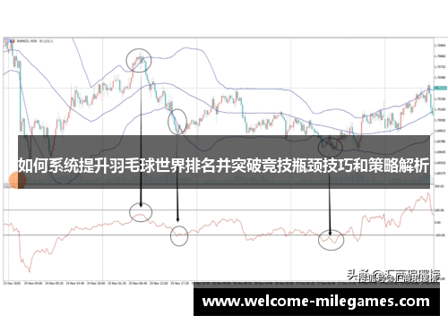 如何系统提升羽毛球世界排名并突破竞技瓶颈技巧和策略解析